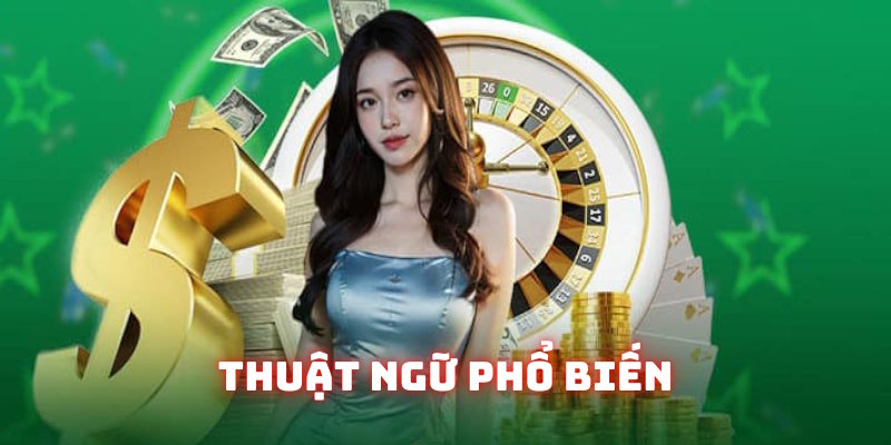 Một vài từ vựng quan trọng thường xuất hiện