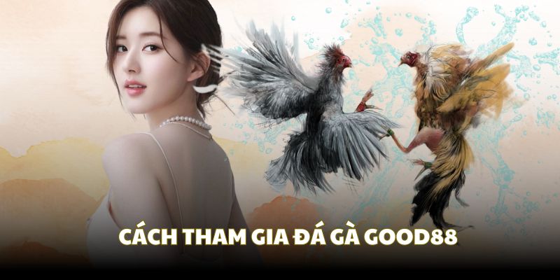 Cách tham gia đá gà Good88 chi tiết từ A-Z cho tân binh 5 cach tham gia da ga good88 dai dien