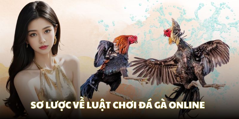 Giải mã chung về luật chơi đá gà online tại nhà cái