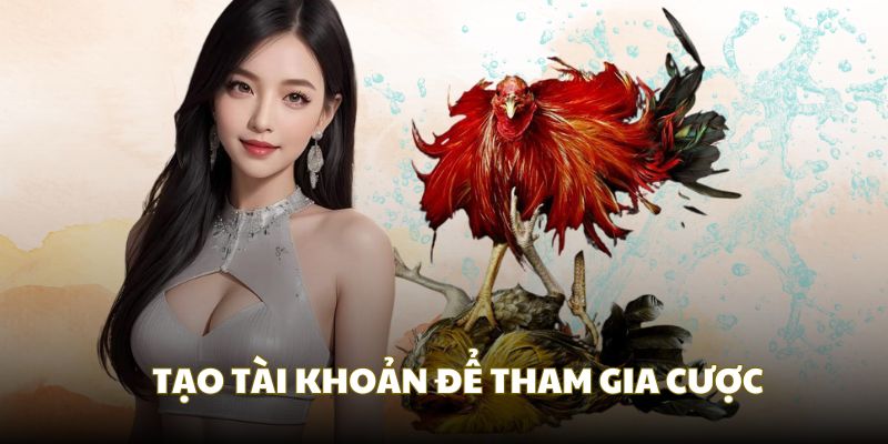 Bạn cần tạo tài khoản khi tham gia chơi đá gà online