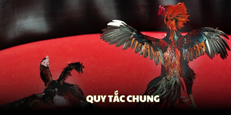Quy tắc chung trong chọi kê cựa dao Quy tắc chung trong chọi kê cựa dao