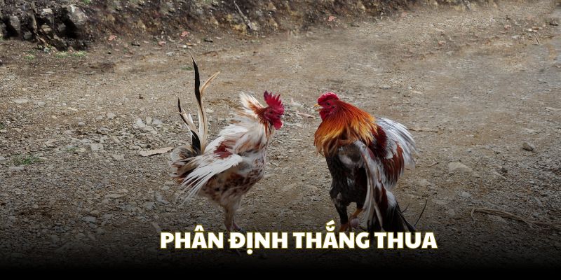 Quy tắc phân định thắng thua tại nhà cái Good88 Quy tắc phân định thắng thua tại nhà cái Good88