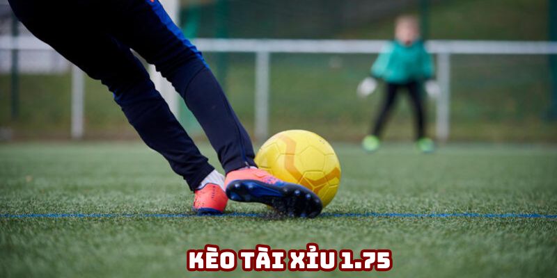 keo tai xiu 1 75 ava