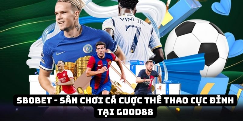 sbobet dai dien