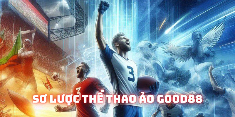 Đôi nét về phiên bản thể thao ảo Đôi nét về phiên bản thể thao ảo